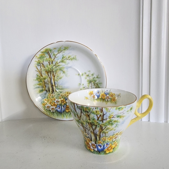 Shelley Bonę China, Daffodil Time Cup and Saucer, very rare collectible - Picture 2 of 8